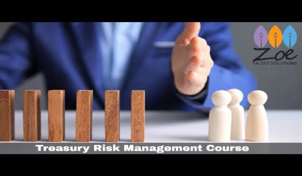 Course in Treasury and Risk Management 